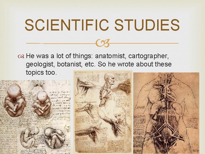 SCIENTIFIC STUDIES He was a lot of things: anatomist, cartographer, geologist, botanist, etc. So