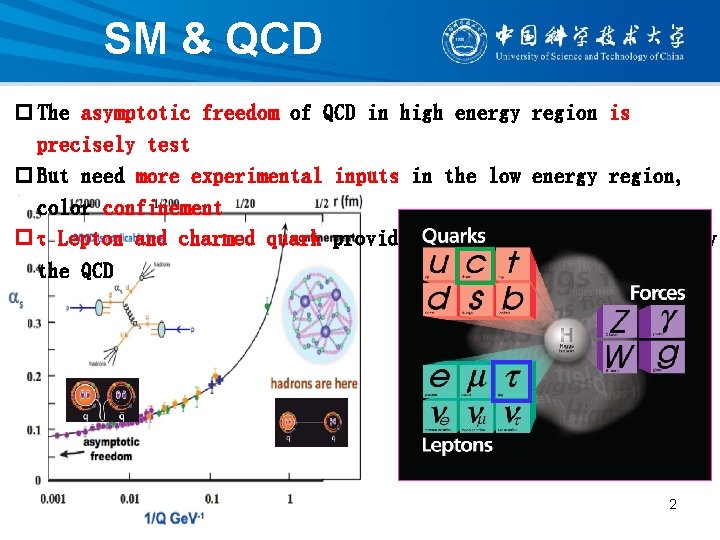 SM & QCD p The asymptotic freedom of QCD in high energy region is