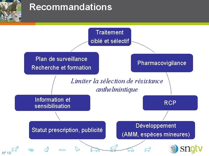 Recommandations Traitement ciblé et sélectif Plan de surveillance Recherche et formation Pharmacovigilance Limiter la