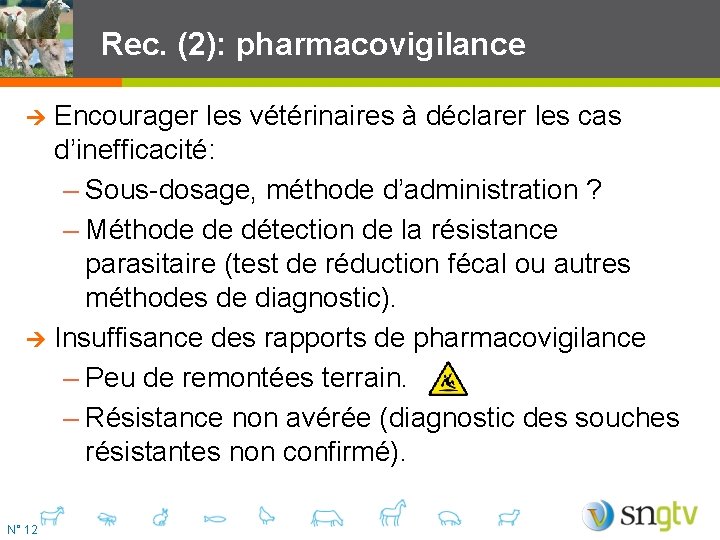 Rec. (2): pharmacovigilance Encourager les vétérinaires à déclarer les cas d’inefficacité: – Sous-dosage, méthode