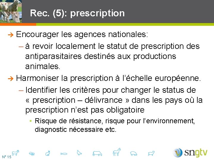 Rec. (5): prescription Encourager les agences nationales: – à revoir localement le statut de