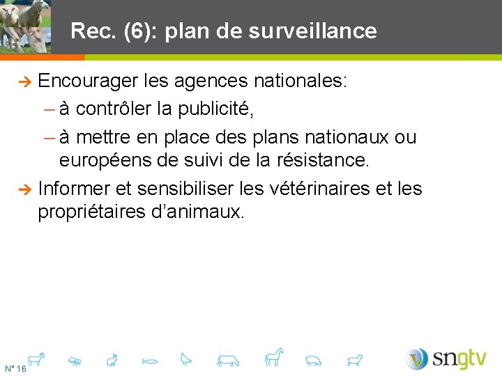 Rec. (6): plan de surveillance Encourager les agences nationales: – à contrôler la publicité,