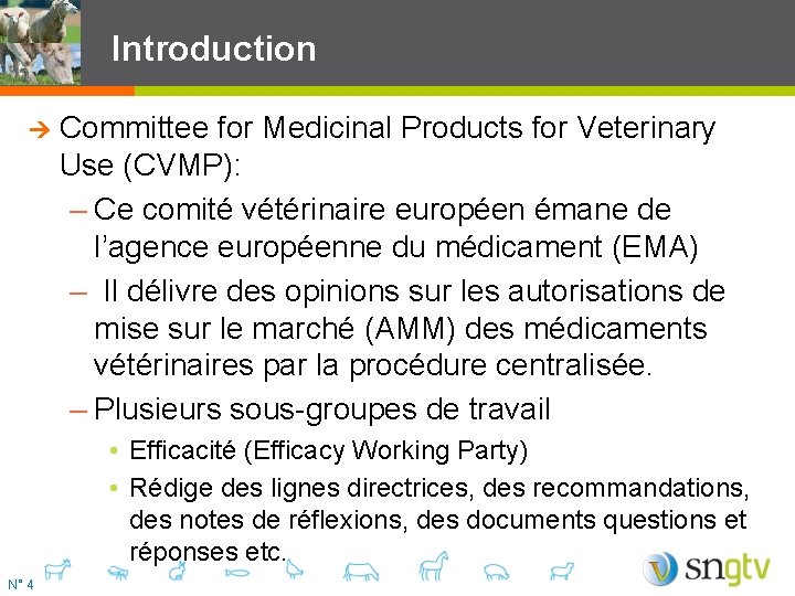 Introduction Committee for Medicinal Products for Veterinary Use (CVMP): – Ce comité vétérinaire européen