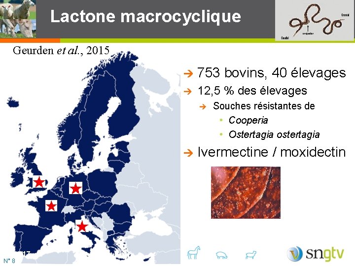 Lactone macrocyclique Geurden et al. , 2015 753 bovins, 40 élevages 12, 5 %