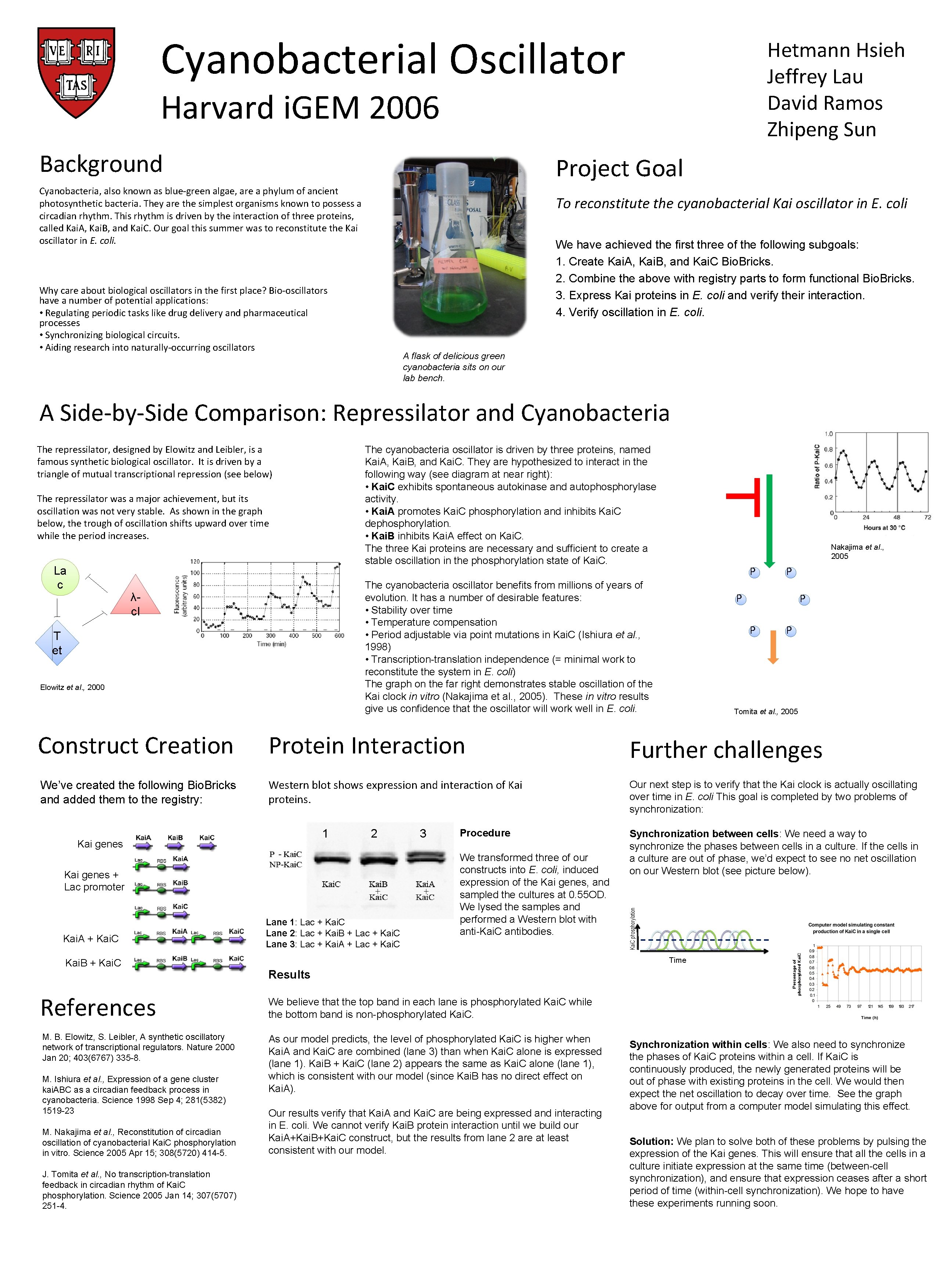 Cyanobacterial Oscillator Hetmann Hsieh Jeffrey Lau David Ramos Zhipeng Sun Harvard i. GEM 2006