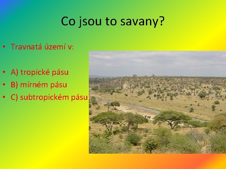 Co jsou to savany? • Travnatá území v: • A) tropické pásu • B)