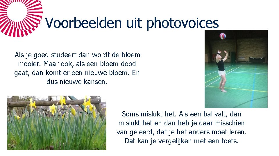 Voorbeelden uit photovoices Als je goed studeert dan wordt de bloem mooier. Maar ook,