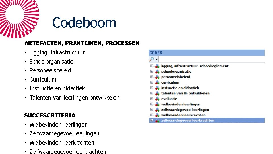 Codeboom ARTEFACTEN, PRAKTIJKEN, PROCESSEN • Ligging, infrastructuur • Schoolorganisatie • Personeelsbeleid • Curriculum •