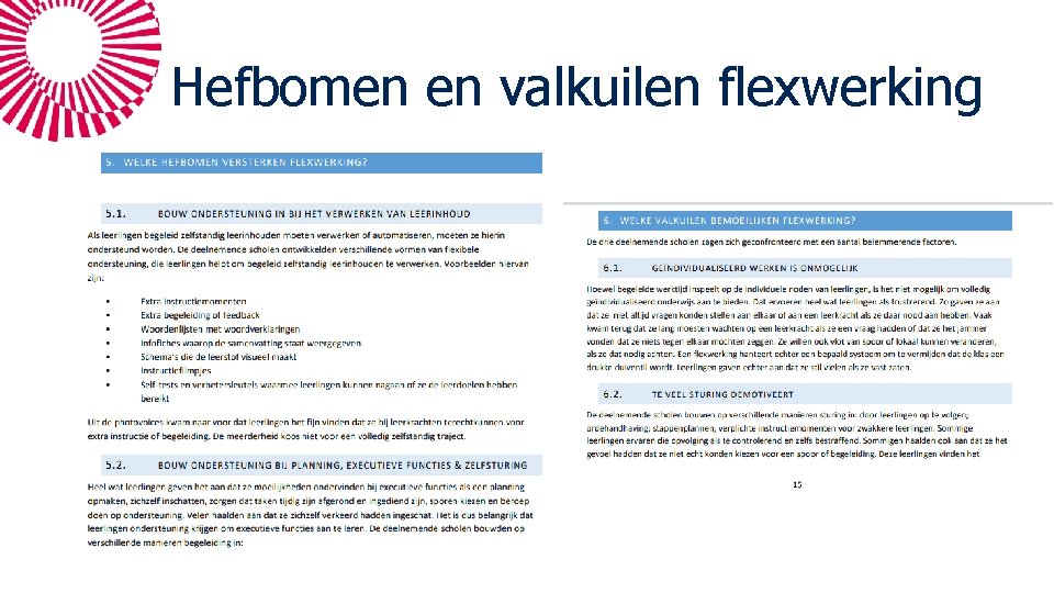 Hefbomen en valkuilen flexwerking 