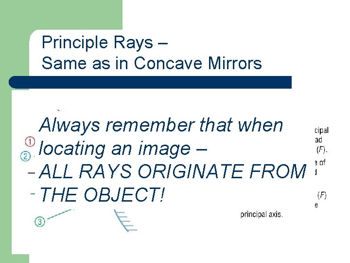 Principle Rays – Same as in Concave Mirrors Always remember that when locating an