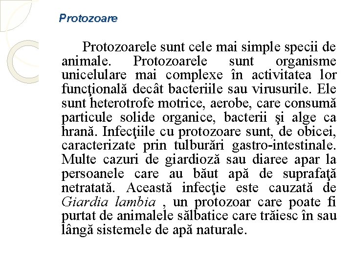 Protozoarele sunt cele mai simple specii de animale. Protozoarele sunt organisme unicelulare mai complexe