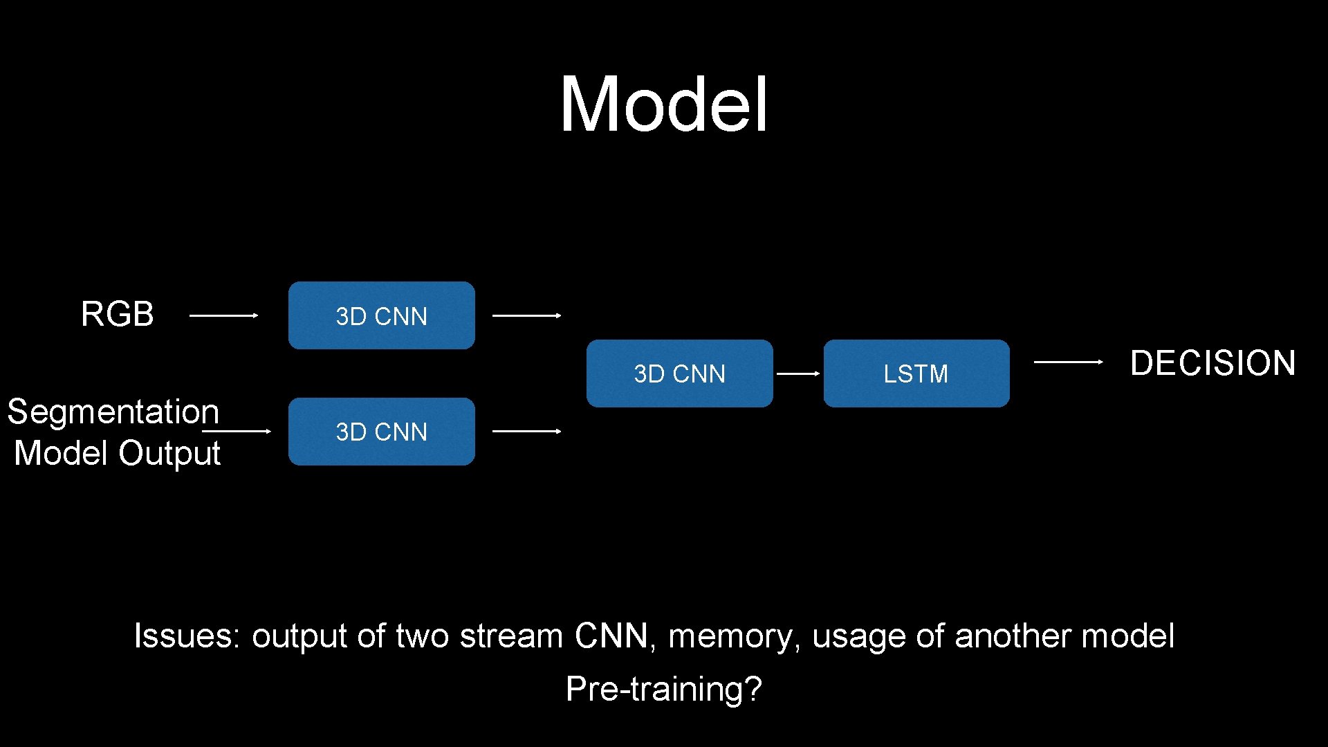 Model RGB 3 D CNN Segmentation Model Output LSTM DECISION 3 D CNN Issues: