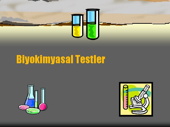 Biyokimyasal Testler 