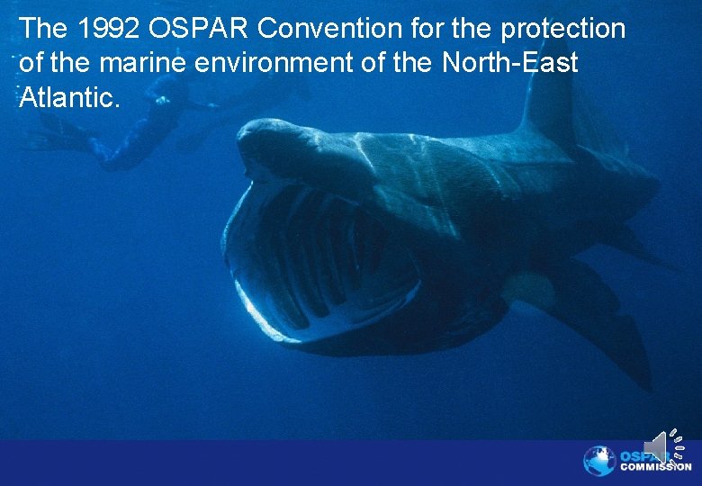 The 1992 OSPAR Convention for the protection of the marine environment of the North-East