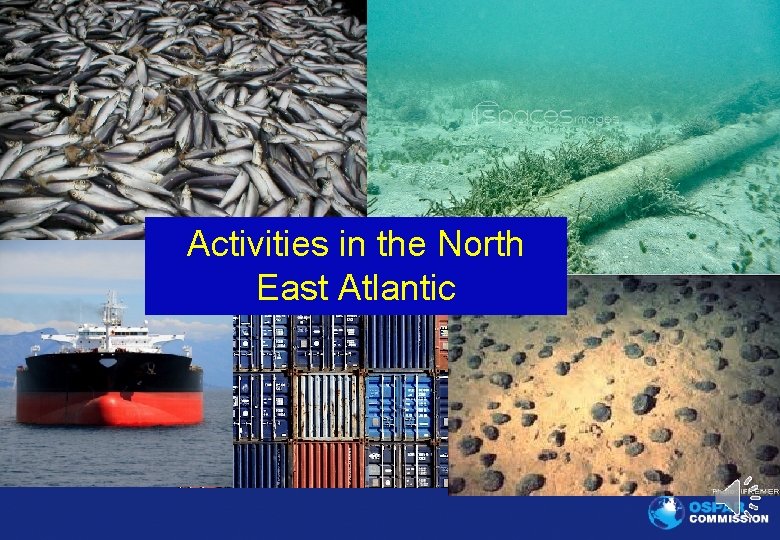 Activities in the North East Atlantic www. ospar. org 