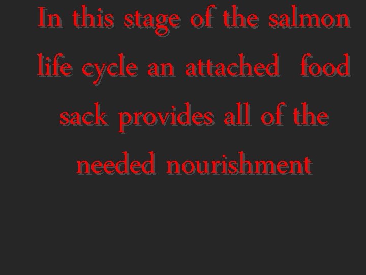 In this stage of the salmon life cycle an attached food sack provides all