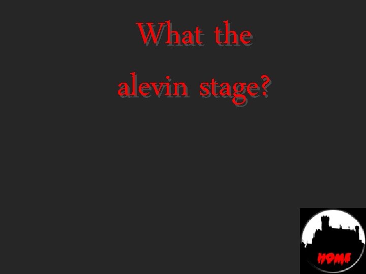 What the alevin stage? 