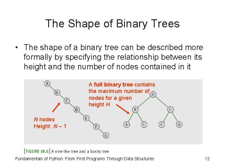 The Shape of Binary Trees • The shape of a binary tree can be