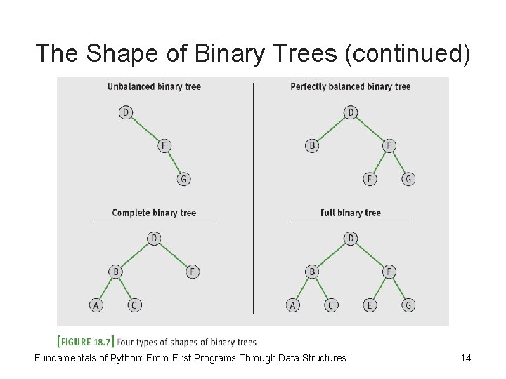 The Shape of Binary Trees (continued) Fundamentals of Python: From First Programs Through Data