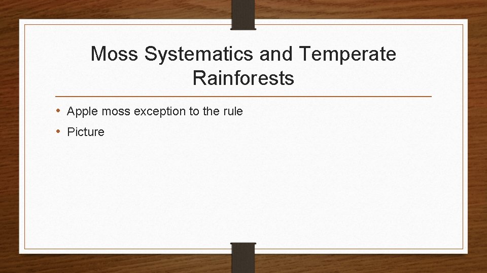 Moss Systematics and Temperate Rainforests • Apple moss exception to the rule • Picture