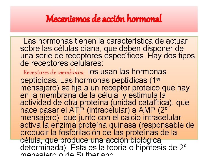 Mecanismos de acción hormonal Las hormonas tienen la característica de actuar sobre las células