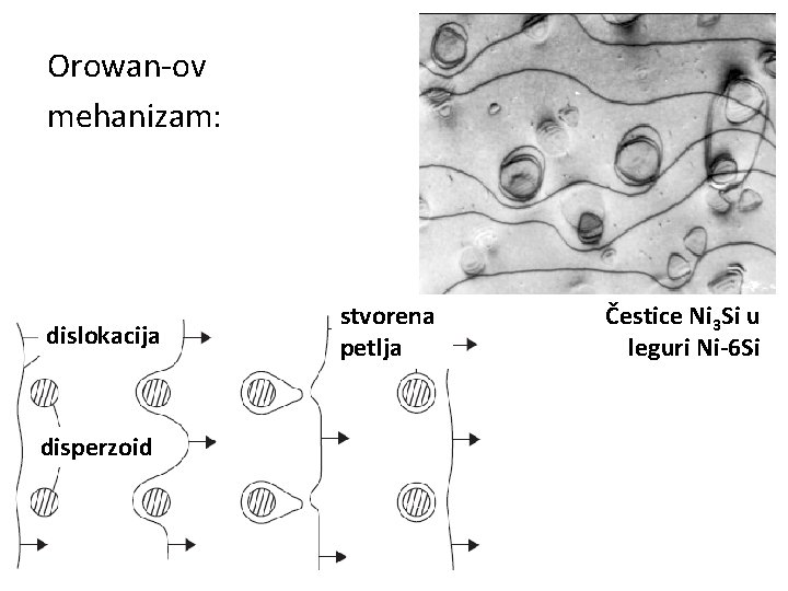 Orowan-ov mehanizam: dislokacija disperzoid stvorena petlja Čestice Ni 3 Si u leguri Ni-6 Si