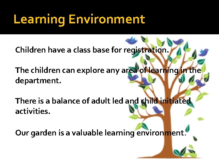 Learning Environment Children have a class base for registration. The children can explore any