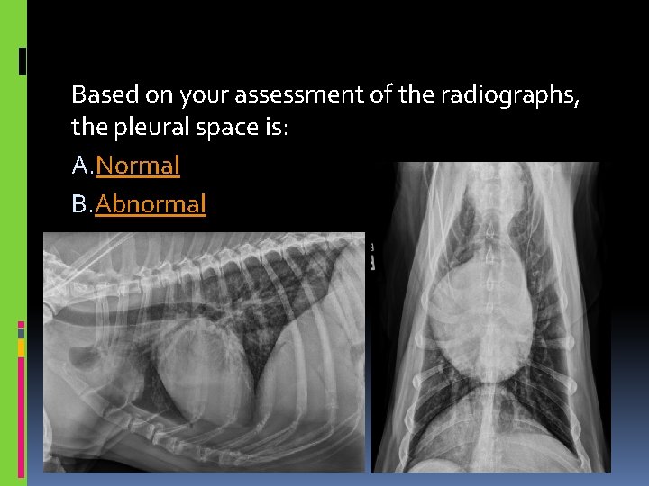 Based on your assessment of the radiographs, the pleural space is: A. Normal B.