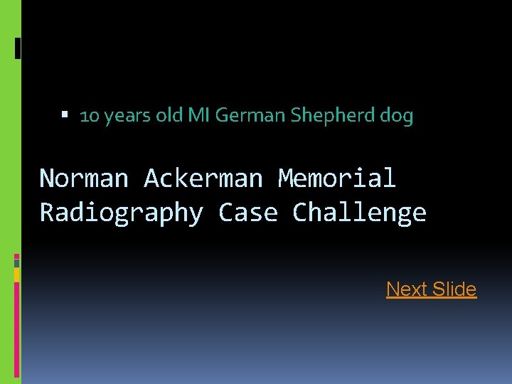  10 years old MI German Shepherd dog Norman Ackerman Memorial Radiography Case Challenge