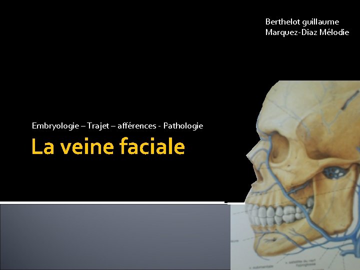 Berthelot guillaume Marquez-Diaz Mélodie Embryologie – Trajet – afférences - Pathologie La veine faciale