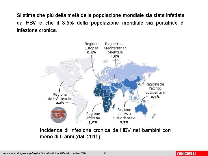Si stima che più della metà della popolazione mondiale sia stata infettata da HBV
