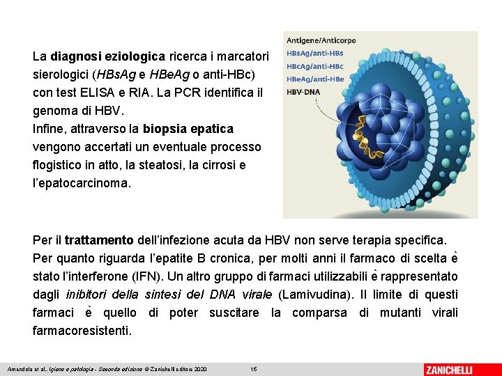 La diagnosi eziologica ricerca i marcatori sierologici (HBs. Ag e HBe. Ag o anti-HBc)