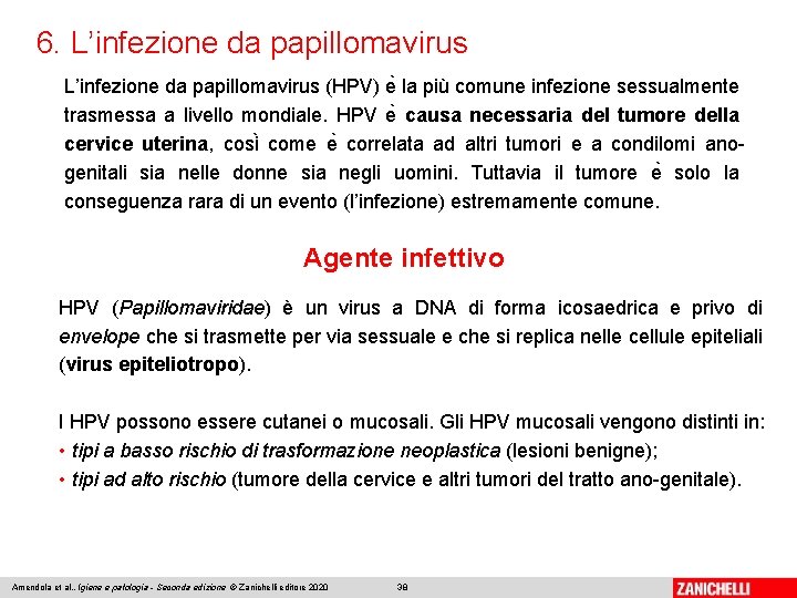 6. L’infezione da papillomavirus (HPV) e la più comune infezione sessualmente trasmessa a livello