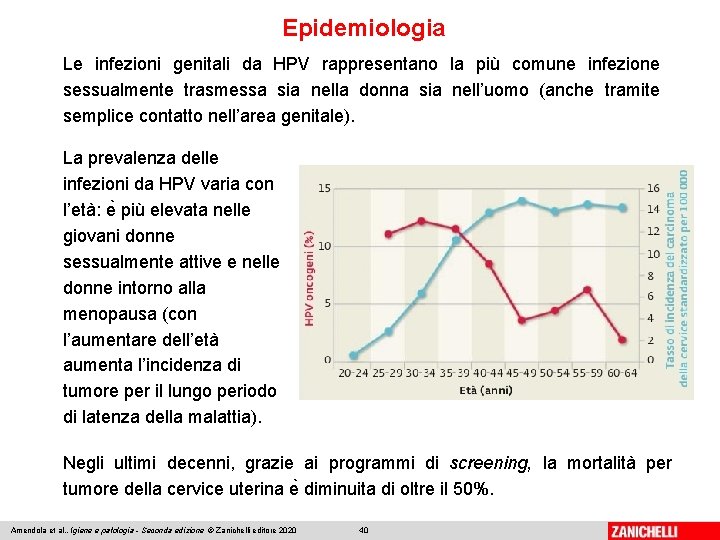 Epidemiologia Le infezioni genitali da HPV rappresentano la più comune infezione sessualmente trasmessa sia