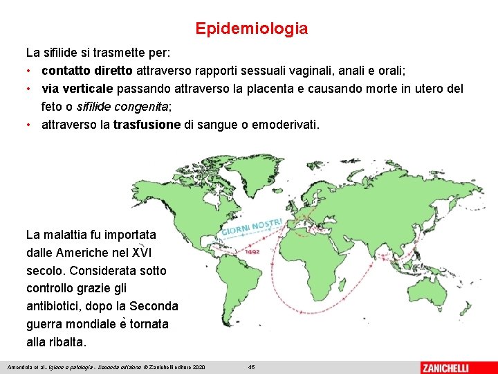 Epidemiologia La sifilide si trasmette per: • contatto diretto attraverso rapporti sessuali vaginali, anali