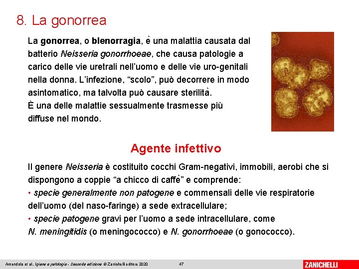 8. La gonorrea, o blenorragia, e una malattia causata dal batterio Neisseria gonorrhoeae, che