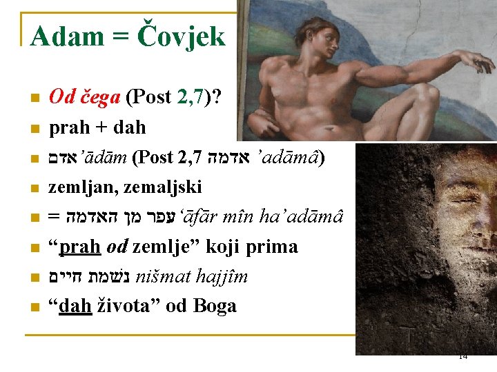 Adam = Čovjek n Od čega (Post 2, 7)? prah + dah ’אדם ādām