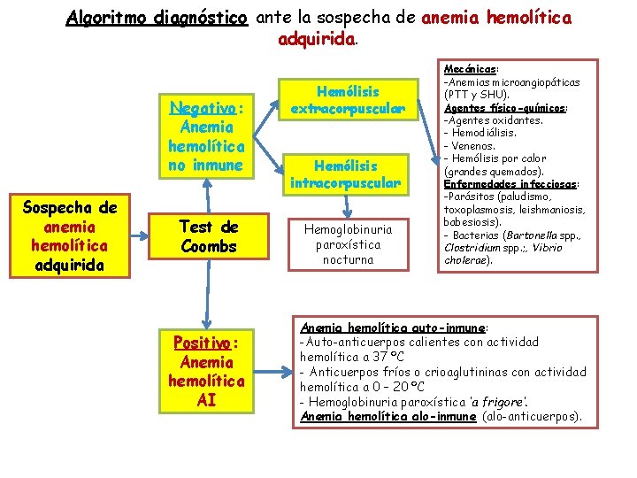 Algoritmo diagnóstico ante la sospecha de anemia hemolítica adquirida. Negativo: Anemia hemolítica no inmune