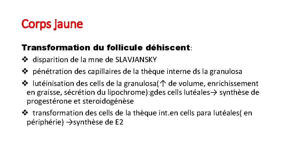 Corps jaune Transformation du follicule déhiscent: v disparition de la mne de SLAVJANSKY v