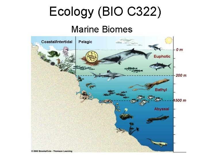 Ecology (BIO C 322) Marine Biomes 