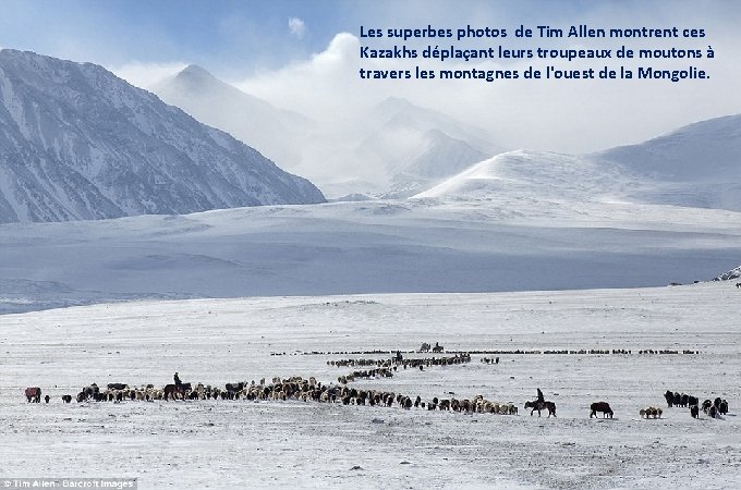 Les superbes photos de Tim Allen montrent ces Kazakhs déplaçant leurs troupeaux de moutons