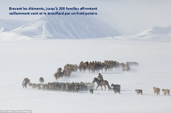 Bravant les éléments, jusqu'à 200 familles affrontent vaillamment vent et le brouillard par un