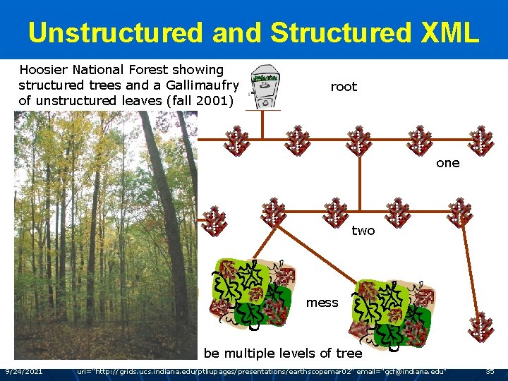Unstructured and Structured XML Hoosier National Forest showing structured trees and a Gallimaufry of
