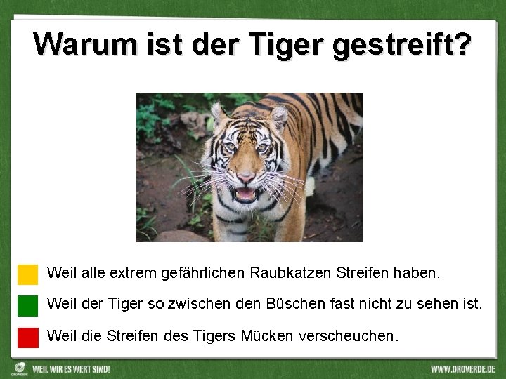 Warum ist der Tiger gestreift? Weil alle extrem gefährlichen Raubkatzen Streifen haben. Weil der