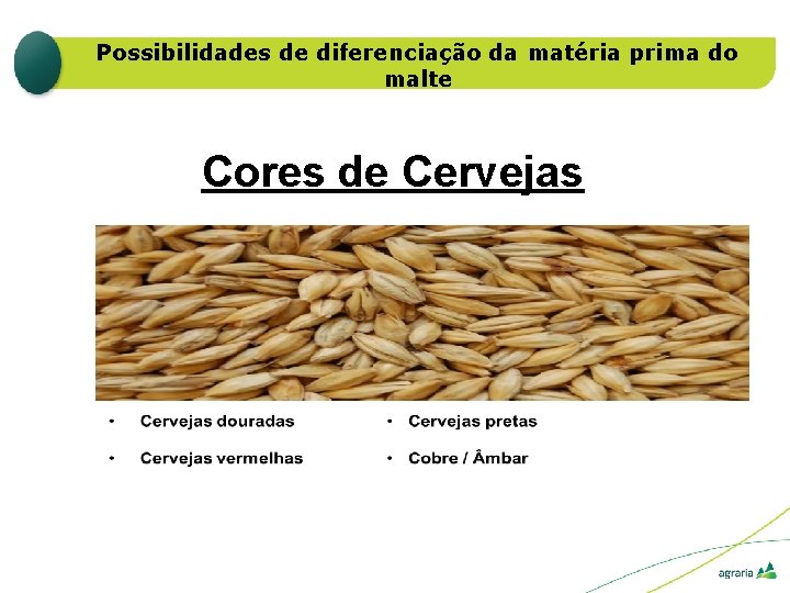 Possibilidades de diferenciação da matéria prima do malte Cores de Cervejas 