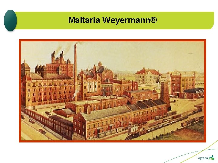 Maltaria Weyermann® 