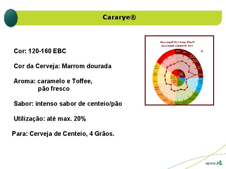 Cararye® Cor: 120 -160 EBC Cor da Cerveja: Marrom dourada Aroma: caramelo e Toffee,