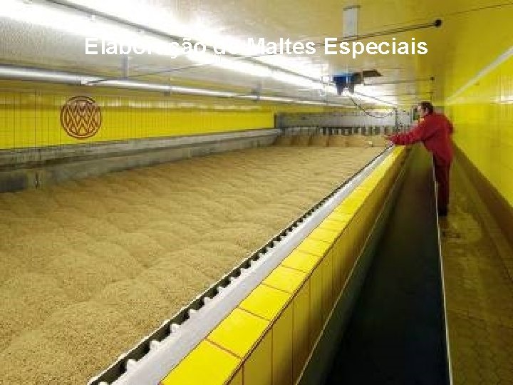 Elaboração de Maltes Especiais 