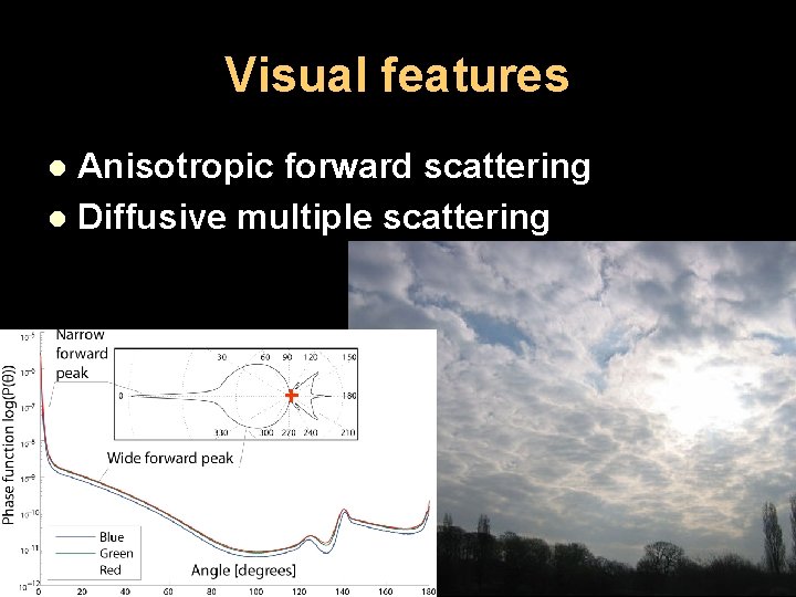 Visual features Anisotropic forward scattering l Diffusive multiple scattering l 