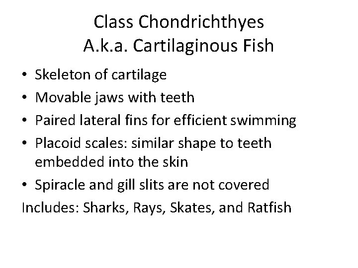 Class Chondrichthyes A. k. a. Cartilaginous Fish Skeleton of cartilage Movable jaws with teeth